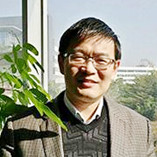 顾 清