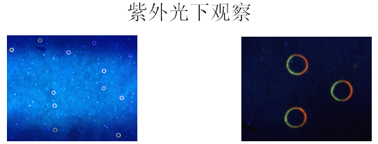 5155-ecfd5b87a10552b75b35ab05b7519af9.png